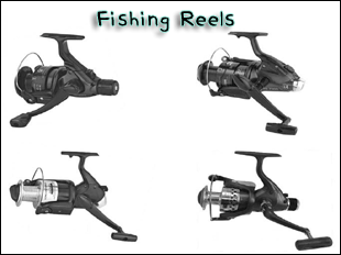 Cape Coral Bait, Fishing Reels, Shimano, Okuma, Daiwa, Penn